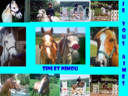 nimou é tini